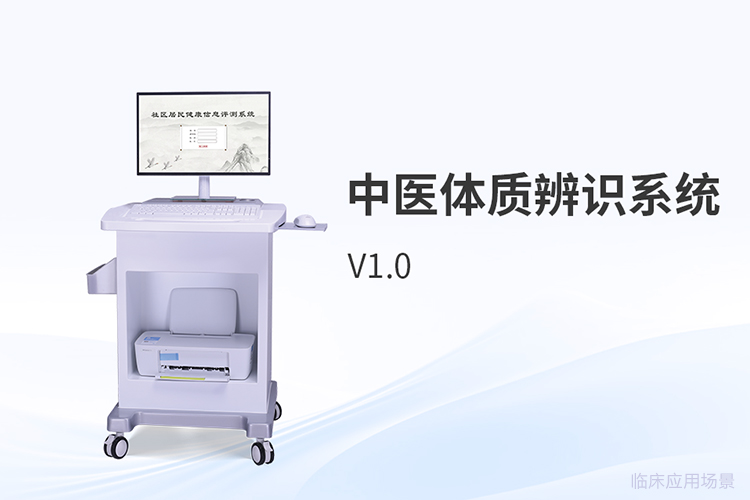 中医体质辨识系统的专业评估维度与临床应用要点