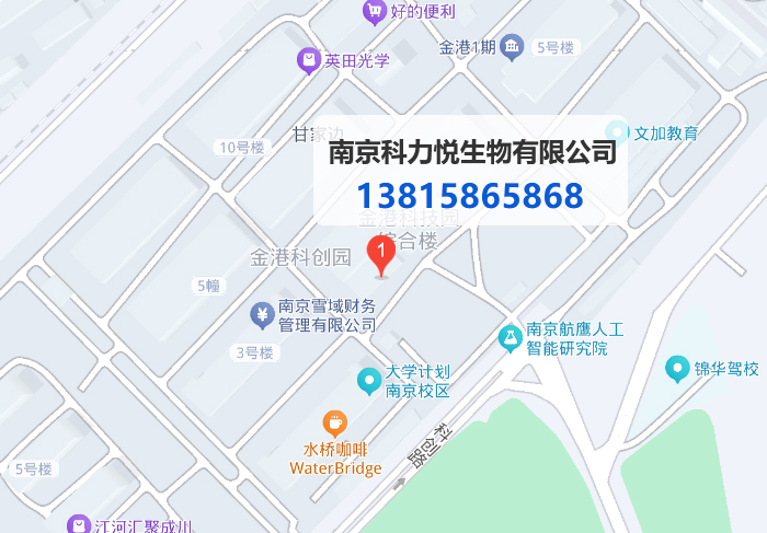 公司位置地图